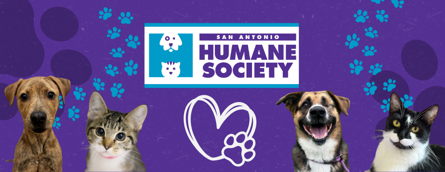 SAHS Peer-to-Peer Fundraising